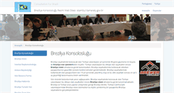 Desktop Screenshot of brezilyakonsoloslugu.com